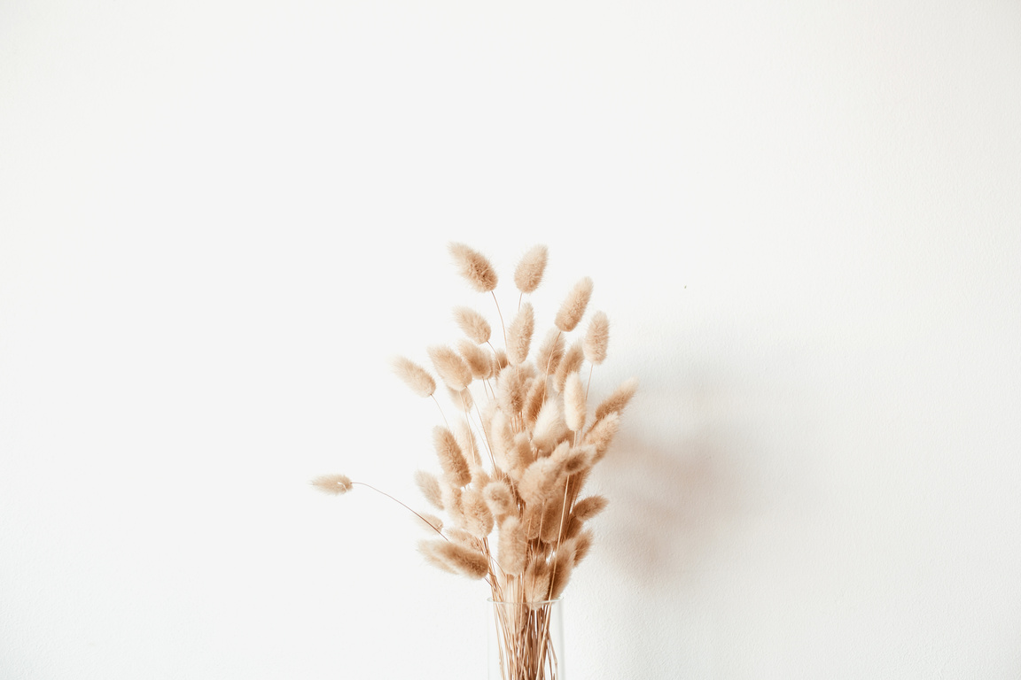 Fluffy Flowers on White