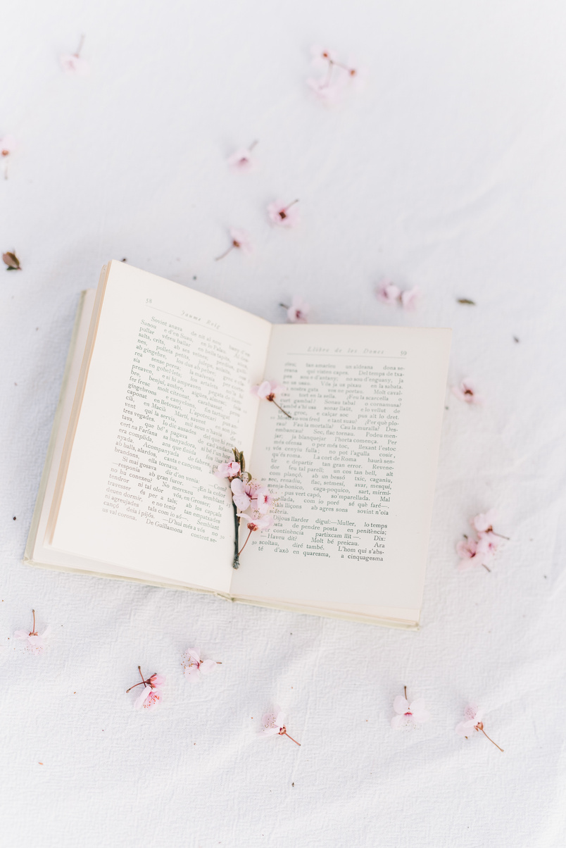 High Angle Shot of an Open Book