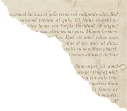 Ripped Book Page Paper