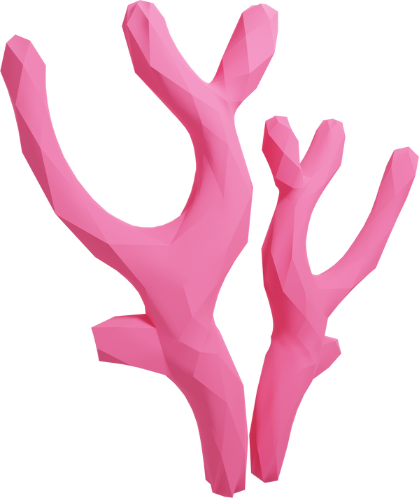 3D Cute Low Poly Coral
